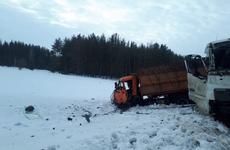 Водитель погиб при столкновении грузовиков в Воронежской области