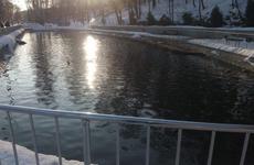 Пруд в воронежском Центральном парке очистили от сброшенного мусора