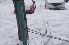 Почти новогодняя елка: в Волжском трусами и лифчиками разукрасили дерево