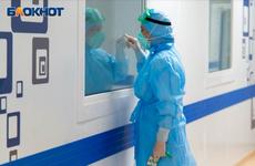 Облздрав подтвердил массовые задержки результатов тестов на ковид в Воронеже
