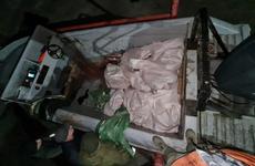В Таганрогском заливе задержали рыбаков с краснокнижными осетром и севрюгой
