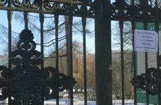 Вход в скверы и парки Петербурга закрыли из-за шторма