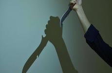 В Труновском округе мужчина обвиняется в разбое и убийстве своей пожилой матери