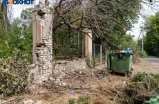 Волгоградцам предложили самим выбрать парки и скверы для благоустройства