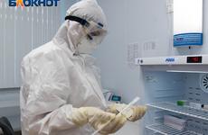 За сутки коронавирусом в Ростовской области заразились 3830 человек
