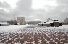 В Петербурге сохраняется «желтый» уровень опасности из-за сильного ветра