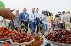Первое место по производству органических пищевых продуктов в России заняла Воронежская область