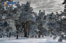 Вход в Воронежский заповедник станет платным