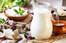 В Ставропольском крае начали разработку «постковидного» молока