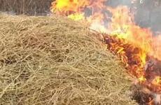 Более двух часов пожарные устраняли горение в СНТ Волжского