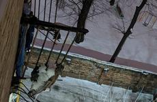 Второй балкон 66-летнего дома рухнул в центре Воронежа