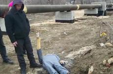 Волгоградца задержали за убийство молотком брата-близнеца