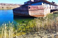 На Ставрополье возбудили уголовное дело из-за загрязнения Чограйского водохранилища