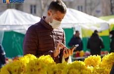 Волгоградцы за неделю победили четыре вируса