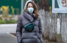 Озвучено число новых смертей от COVID-19 в Воронежской области