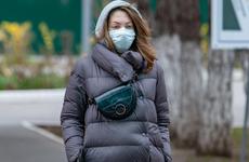 В Ростовской области COVID-19 за последние сутки подтвердился у 875 человек - DONTR.RU