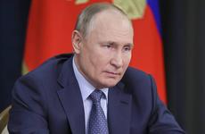 В Кремле назвали беседу Путина с Шольцем жесткой и деловой