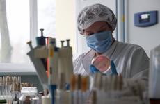 "Известия": "дельтакрон" может лучше проникать в клетки человека