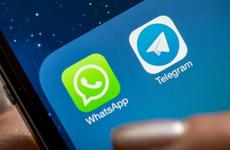 РИА «Новости»: Telegram в России обогнал по популярности WhatsApp