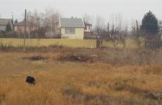 В Воронежской области традиционно объявлен конкурс на самое красивое село