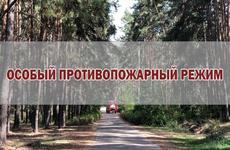 В Воронежской области особый противопожарный режим вводят с 1 апреля, напоминаем о штрафах за костры В Воронежской области особый противопожарный режим вводят с 1 апреля, напоминаем о штрафах за костры