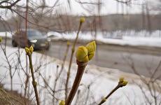 Штормовой ветер испортит погоду и планы волгоградцам 26 марта