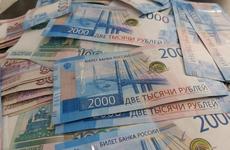 Около 1 млрд рублей направят на поддержку рынка труда в Ростовской области Вместо Теларовой: руководителем департамента потребрынка Дона стал Алексей Панкратов