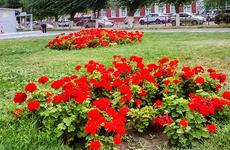 Волгоград и еще восемь городов региона станут участниками голосования за объекты благоустройства