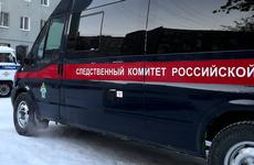 В Красноярске девушка убила своего отца и пришла с ружьем в детский сад