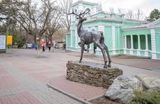 В Ростовском зоопарке снизилась стоимость билетов - DONTR.RU