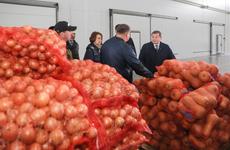 Бочаров обсудил грандиозные планы с волгоградскими овощеводами