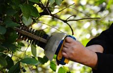 Находящегося в федеральном розыске приморца задержали с партией наркотиков