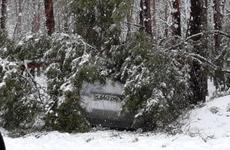 В Воронеже из-за снегопада закрыли парк «Алые Паруса»