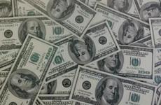 Директор организации краевой столицы не выплачивал сотрудникам зарплату