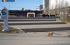 Смертность в Волгограде превысила рождаемость в 2,5 раза