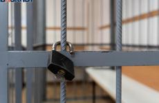 В Воронежской области мужчина предстанет перед судом за кражу гуся спустя 13 лет