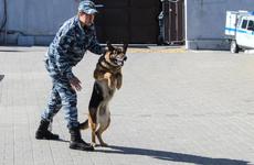 Курский губернатор повысил до предпоследнего уровень террористической опасности из-за «возможных провокаций» Украины