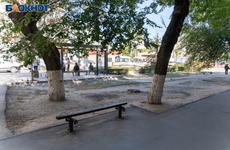 Названы три главные причины дальнейшего вымирания Волгоградской области