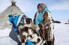 Более 160 жителей НАО включены Единый реестр коренных малочисленных народов РФ