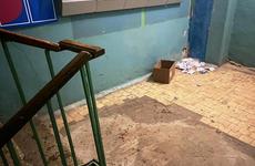 Воронежец ответит в суде за убийство приёмной матери ножом