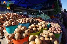 Цены на продукты в Волгограде продолжают резко расти: данные за неделю