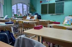 В воронежских школах введут традицию поднимать перед уроками российский флаг