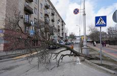 МЧС повторно предупредило камышан о дожде и штормовом ветре 14 апреля