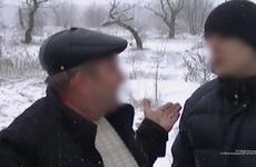 В Волгоградской области лесничий получал взятки за вырубку деревьев