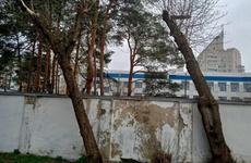 Воронежцы обеспокоились судьбой белок в парке «Алые паруса»