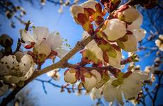 Стало известно, как отдыхаем на майские праздники в 2022 году