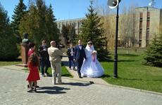 Мэр Камышина запретил торжественное заключение браков по будням