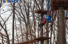 «Динопарк» и веревочный городок: в воронежских парках появятся новые аттракционы