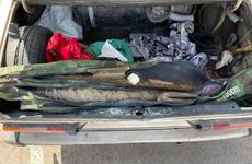 Мешки с щукой и карасями изъяли у водителя «шестерки» под Волгоградом