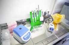 За прошедшие сутки в НАО зарегистрировано 3 случая заболевания COVID-19